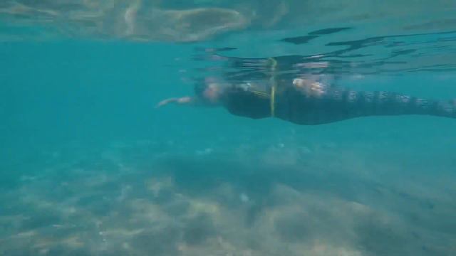Welcome! Мы учим плавать кролем Total Immersion! смотреть онлайн