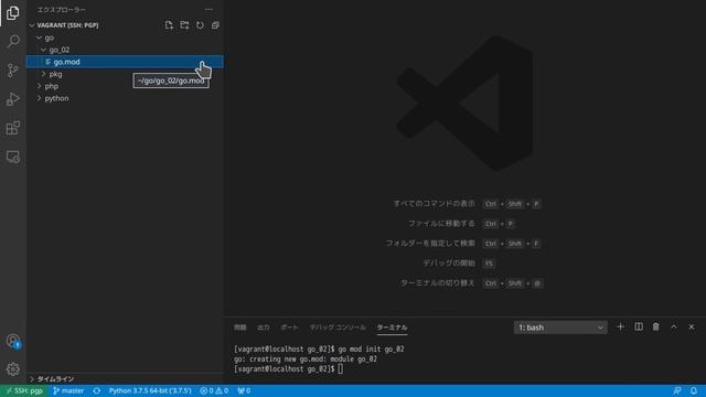 【プログラム講座】第2回：Python、Go言語、PHPのプロジェクト構成の説明〜各言語でHello World〜【PGPプロジェクト】 смотреть онлайн