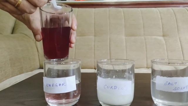 Hibiscus Flower as Acid and Base Indicator смотреть онлайн