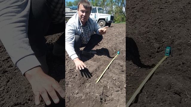 норма высева семян соя поливное поле смотреть онлайн