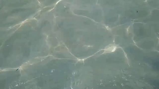 Крым! Поповка! Медузы! 30.07.2019 смотреть онлайн