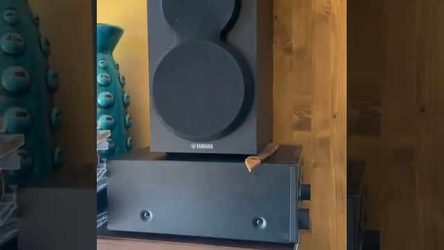 Дети Сергея Безрукова завтракают под классическую музыку смотреть онлайн