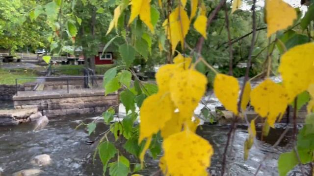 ?ОСЕННЕЕ НАСТРОЕНИЕ? смотреть онлайн