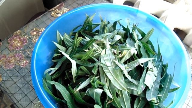 Тайное провидение ощущений