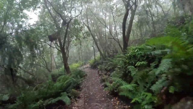 Virtual Run 4K -Three Capes Part 1 - Virtual Running Videos - Scenery Tasmania