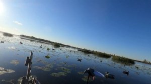 Охота с каяка в Канаде. День Чирка