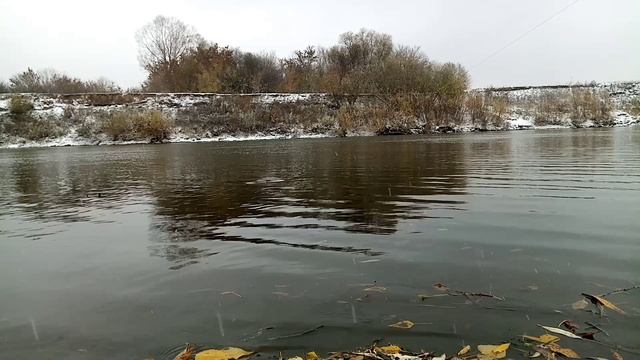 Проверка. Закидушки. смотреть онлайн