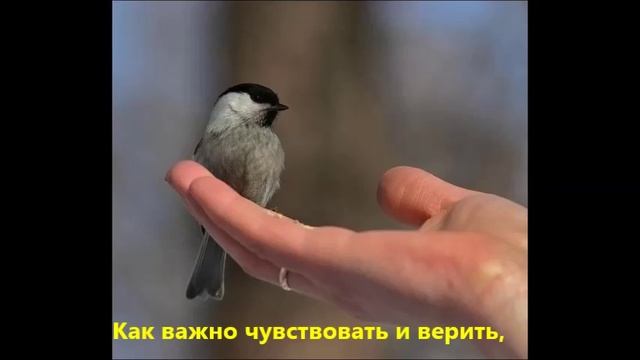 Есть в мире хорошие люди смотреть онлайн