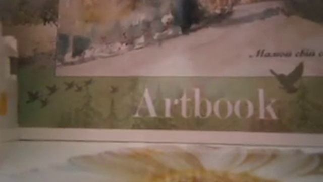 пачиму не снила видео 18 июня. смотреть онлайн