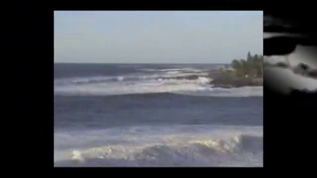 Surf Dragons -acoustimental cuts смотреть онлайн