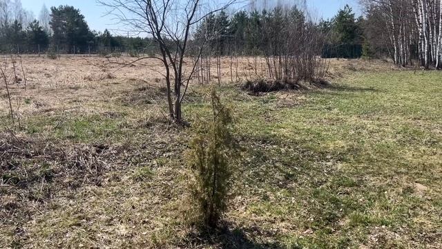 Спасибо, что дождались дачного влога! смотреть онлайн