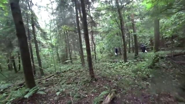 Поход за грибами,потерялись в лесу 1ч смотреть онлайн