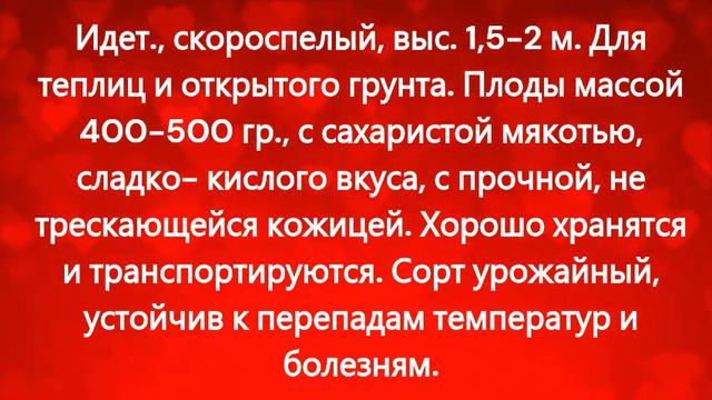 Каталог томатов на 2024 год. Часть 7. г. Киров смотреть онлайн