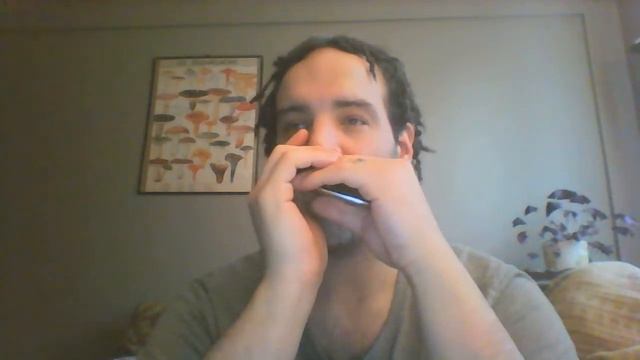 HOHNER Tremolo & TOMBO A minor Harmonica смотреть онлайн