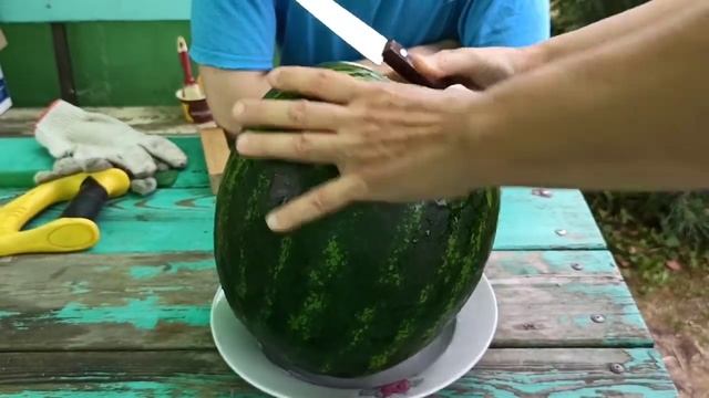 НЕ лучший АРБУЗ из ТЕПЛИЦЫ. МАРИСТО привитый на "грибовский 189" 08.08.2021 больше не сажаем. смотреть онлайн