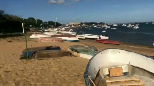 There are many beautiful rivers along the Atlantic Ocean## вдоль Атлантического океана протекает ❤ смотреть онлайн