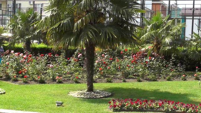 Сочи. Лазаревское. Санаторий "Бирюза" 2017г. смотреть онлайн