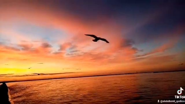 Якутия Река Лена. смотреть онлайн