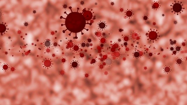 черемуха смотреть онлайн