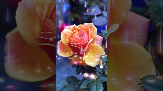для души #цветы#поздравление смотреть онлайн