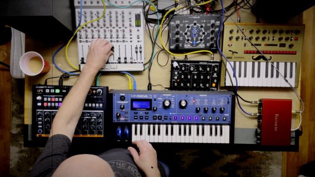 SECOND day with NDLR, +Moog Minitaur, KORG 03R/W module, Monologue, MiniNOVA, Drumbrute Impact смотреть онлайн