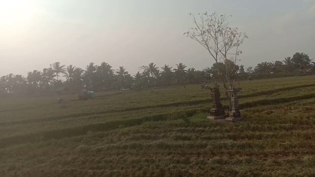 Mitsubishi Pajero Sport GLX Black Tutup Ban Serep Searah Jarum Jam Kolong Palang смотреть онлайн