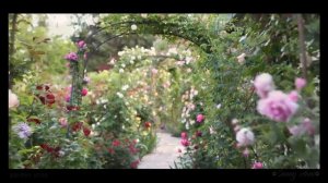 САДОВАЯ АРКА 50 идей дизайна сада как украсить сад /