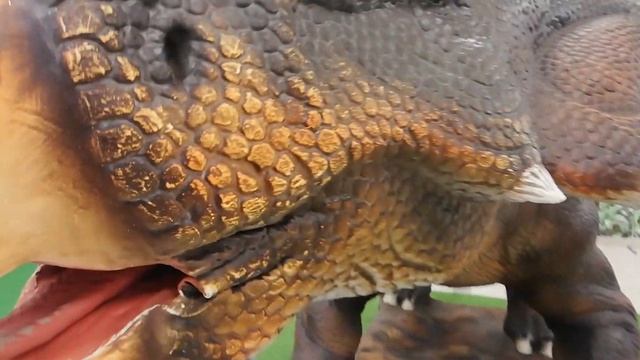 Little Dragon's Life Выставка динозавров смотреть онлайн