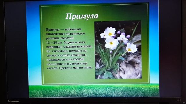 Май весну завершает смотреть онлайн