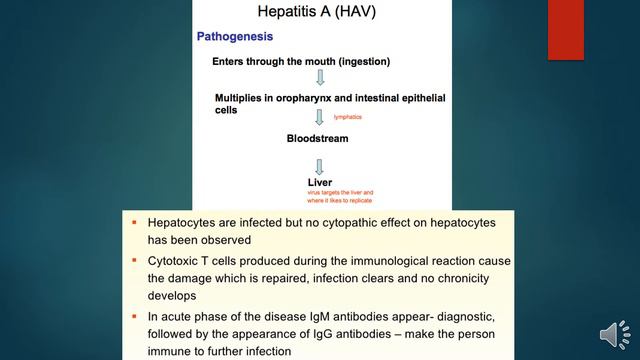 Hepatitis A & E By Dr Zakria Class Final Year смотреть онлайн