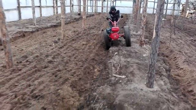 The old two-wheeled Tractor of 1969 plows and Today . Amazing technique смотреть онлайн