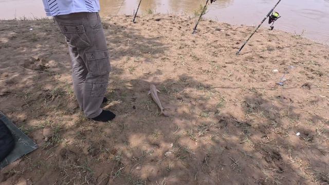 Один на один наедине с природой. смотреть онлайн