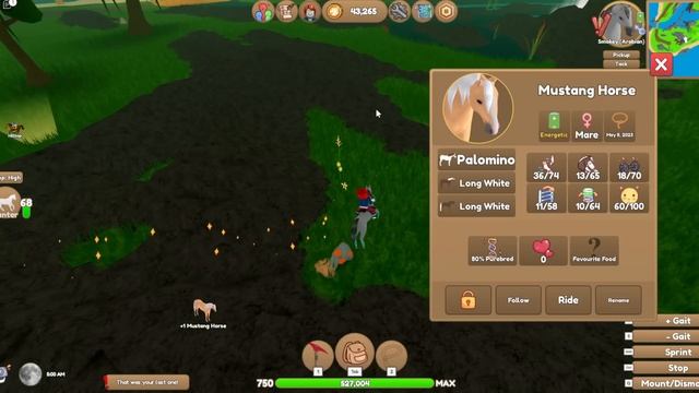 SEARCHING FOR *RARE* WILD HORSES ON WILD HORSE ISLANDS / ROBLOX HORSE GAME смотреть онлайн