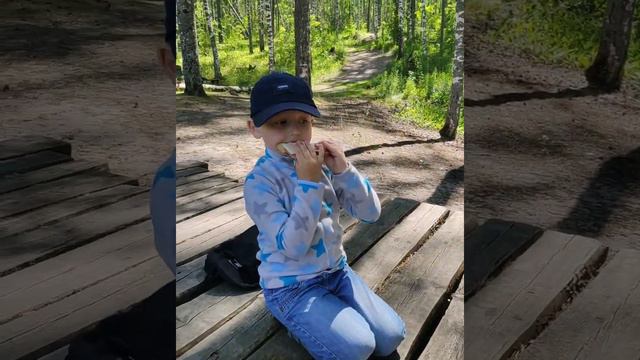 Марий Эл, Кленовая Гора, Зелёный ключ, дуб Пугачева, Конан Ер. Заметки маленьких туристов смотреть онлайн