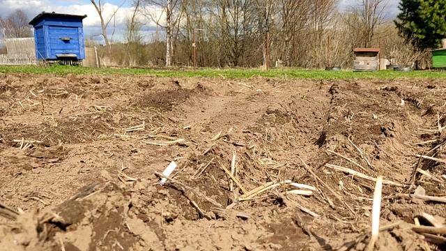 за землёй на мотоблоке. нева мб 23 жигулевские калеса. смотреть онлайн