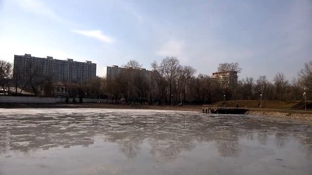 Голуби в парке Торфянка 22 марта 2014 смотреть онлайн