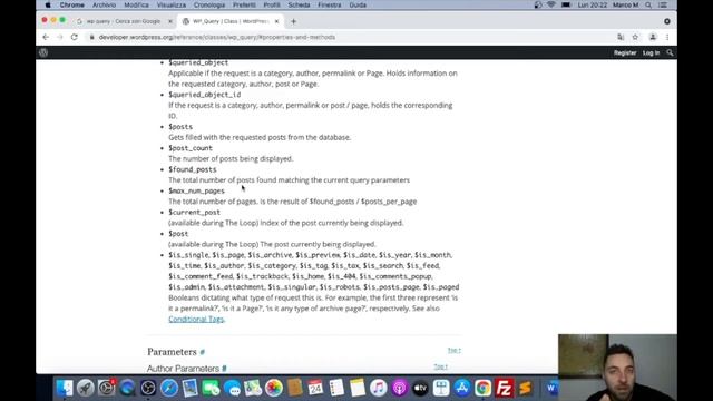 Proprietà nella classe WP Query смотреть онлайн