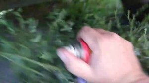 Как заменить задние амортизаторы на хендай гетц 1ч