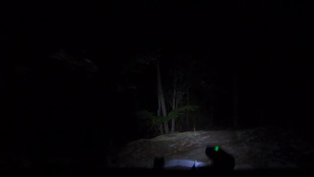Solo Night Ride on Scary Technical Descent смотреть онлайн