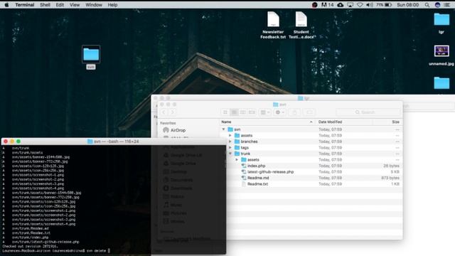 Remove files from WordPress Plugin Repository using SVN delete смотреть онлайн