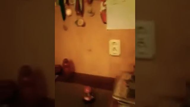 ПРАНК/ОБЛИВАЮ МИРУ ВОДОЙ 😱😱😱😱😵😨🐳🐳🐳💧 смотреть онлайн