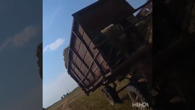 За корма как за хлеб- заготовка сена люцерны. смотреть онлайн