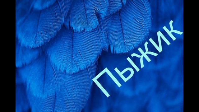 ИМЕНА КЛИЧКИ ДЛЯ ПОПУГАЕВ  Как назвать попугая   ВОЛНИСТЫЙ ПОПУГАЙ ВИДЕО  Имена для попугайчиков