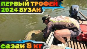 Трофейный САЗАН 2024. Рыбалка в Астрахани река Бузан.