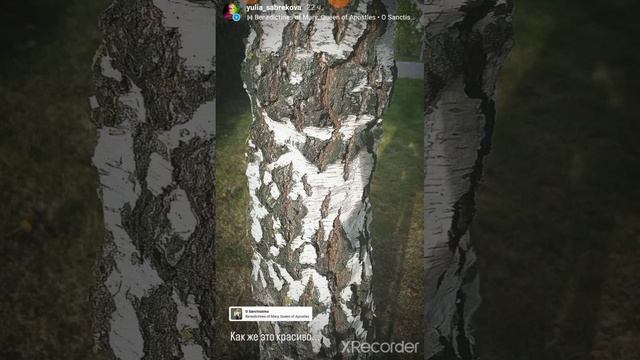 Тот случай,когда в твоей жизни появляется #нейрографика.Так и живём).И как это может быть ещё лучше смотреть онлайн