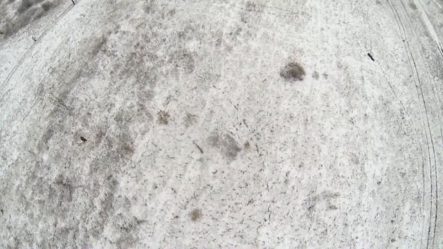 Тренировка кинологического отряда ЧелСпас. Октябрь. смотреть онлайн