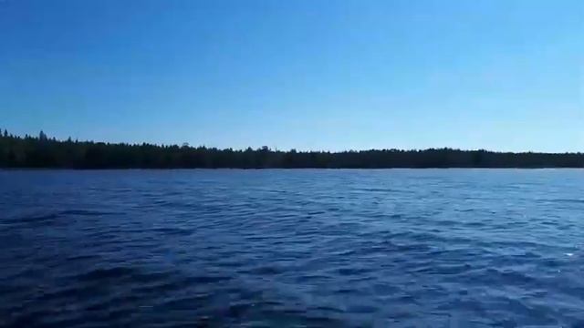 родное Онежское озеро. Лето :). Вода прозрачная. Дно, берег - чистый песок. и Лес. и Солнце :).(1) смотреть онлайн