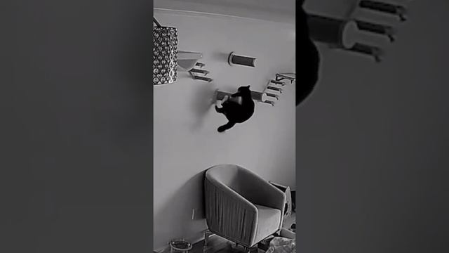 Он боролся до последнего, но всё же решил принять свою судьбу смотреть онлайн