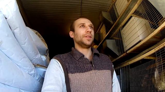 Развожу кроликов личный опыт смотреть онлайн