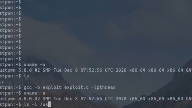 Demo of CVE-2020-25221 смотреть онлайн